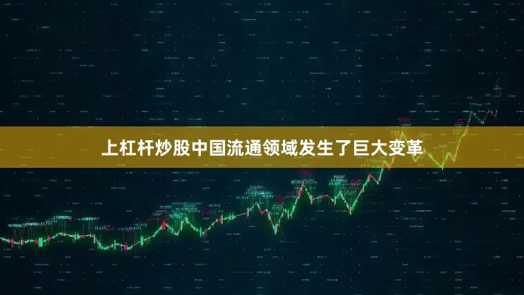 上杠杆炒股中国流通领域发生了巨大变革