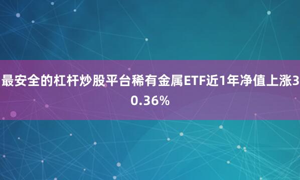 最安全的杠杆炒股平台稀有金属ETF近1年净值上涨30.36%
