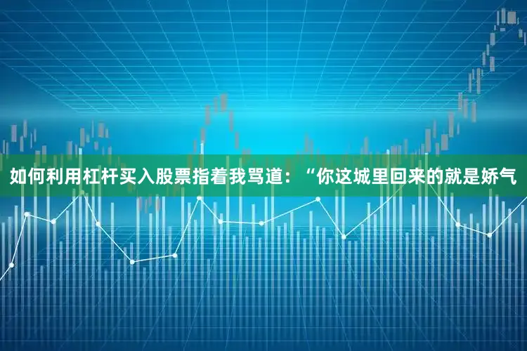 如何利用杠杆买入股票指着我骂道：“你这城里回来的就是娇气